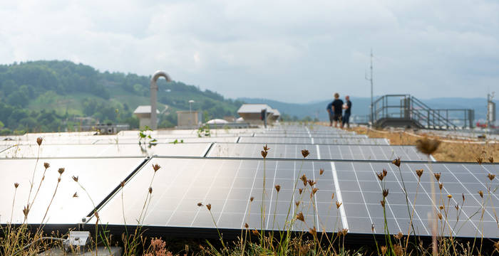 Auch der Bau einer Solaranlage kann mit der Dachbegrünung einher gehen. Es entsteht ein neuer Lebensraum auf den Dächern des Kantonspital Winterthur.