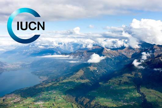 Bildmontage mit IUCN Logo und Alpen