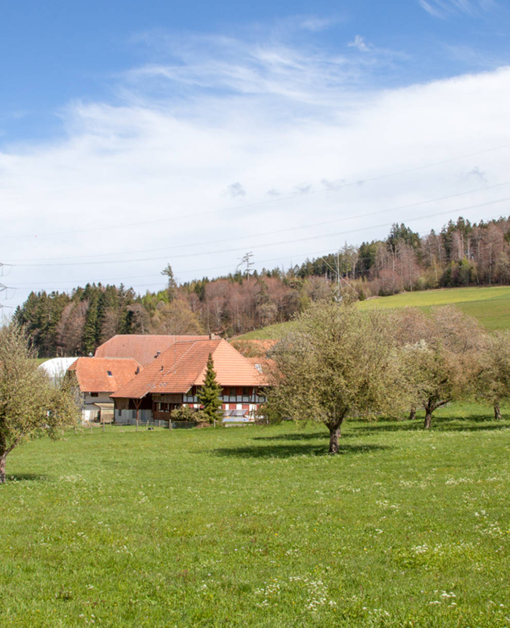 Bauernbetrieb mit Hochstammobstbäumen am Frienisberg © Matthias Sorg
