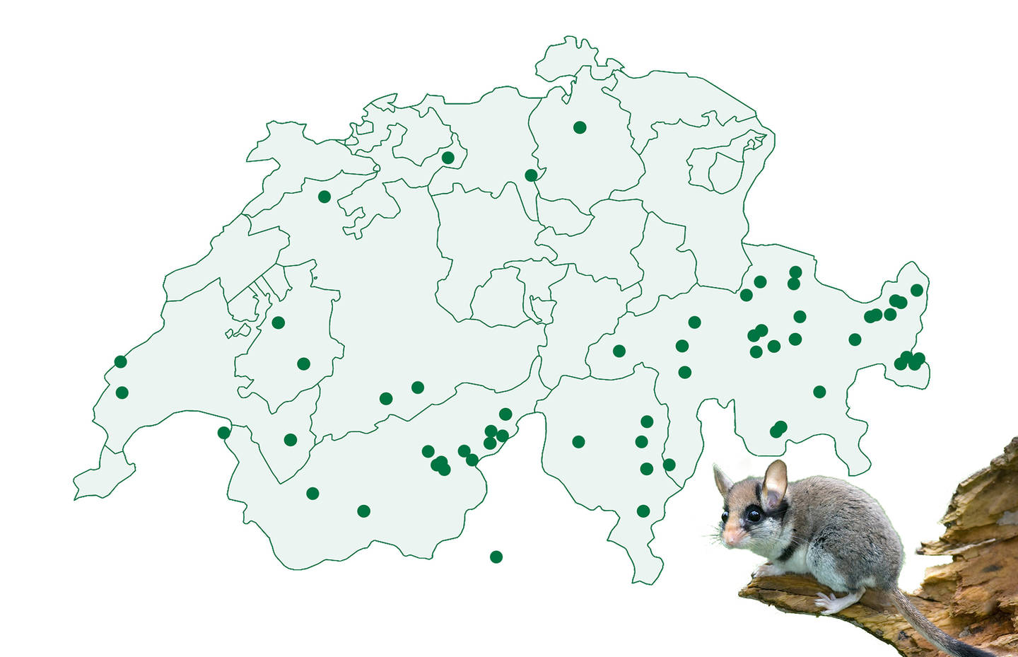 Schweizer Karte mit Funden des Gartenschläfers