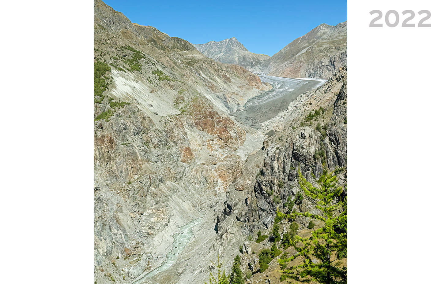 Aletschgletscher im Jahr 2022 vom Aletschkopf aus fotografiert